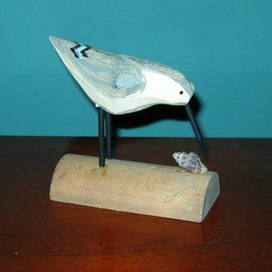 Cute Shore Bird SANDPIPER all Wood Carving on Driftwood wooden stand w/Sea Shell
